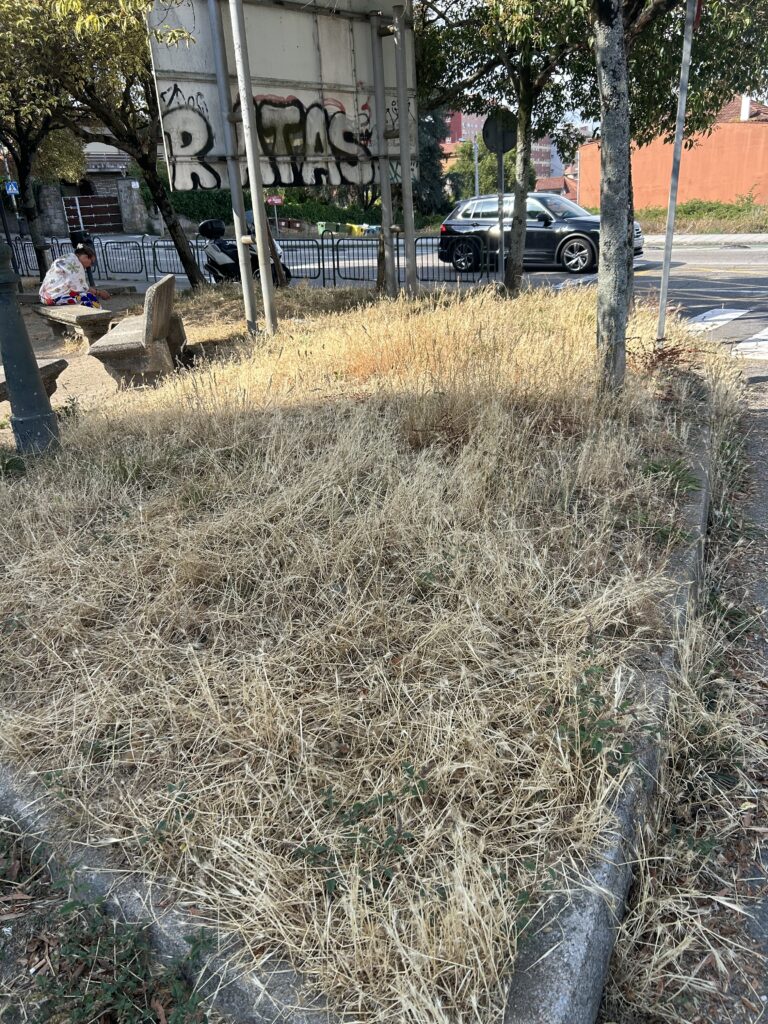 Foto parque Carlos Gardel xullo 2026